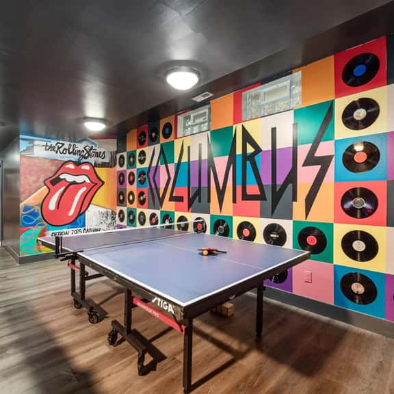Rock & Roll House: PingPong, Hot Tub, Theatre Area - Image 1
